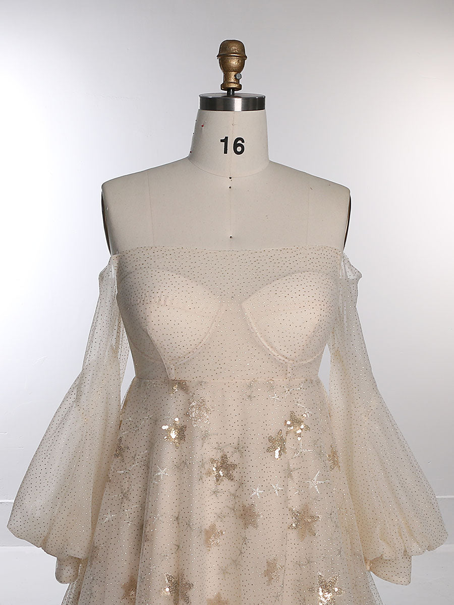 Sparkle Star Tulle Starry Photography Gown Fashion Glitter Mesh Evening Dress for Photo Shoot YEWEN YW20230309